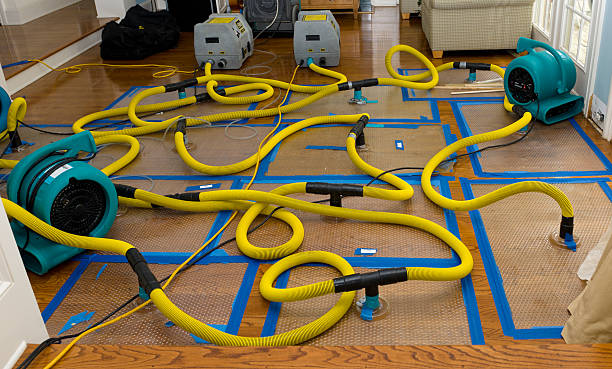 Professional Structural Drying And Dehumidification technician working in Farmingdale, NJ